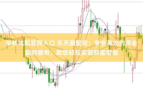 华林优配官网入口 乐天盈配资：专业高效的资金配对服务，助您轻松实现财富增值