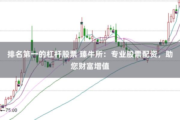 排名第一的杠杆股票 臻牛所：专业股票配资，助您财富增值