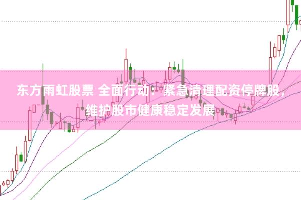 东方雨虹股票 全面行动：紧急清理配资停牌股，维护股市健康稳定发展
